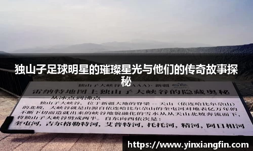 独山子足球明星的璀璨星光与他们的传奇故事探秘